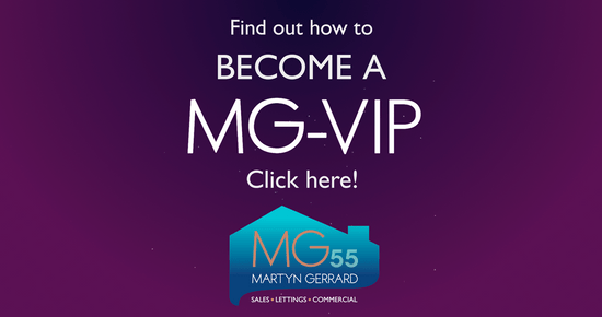 mg_vip
